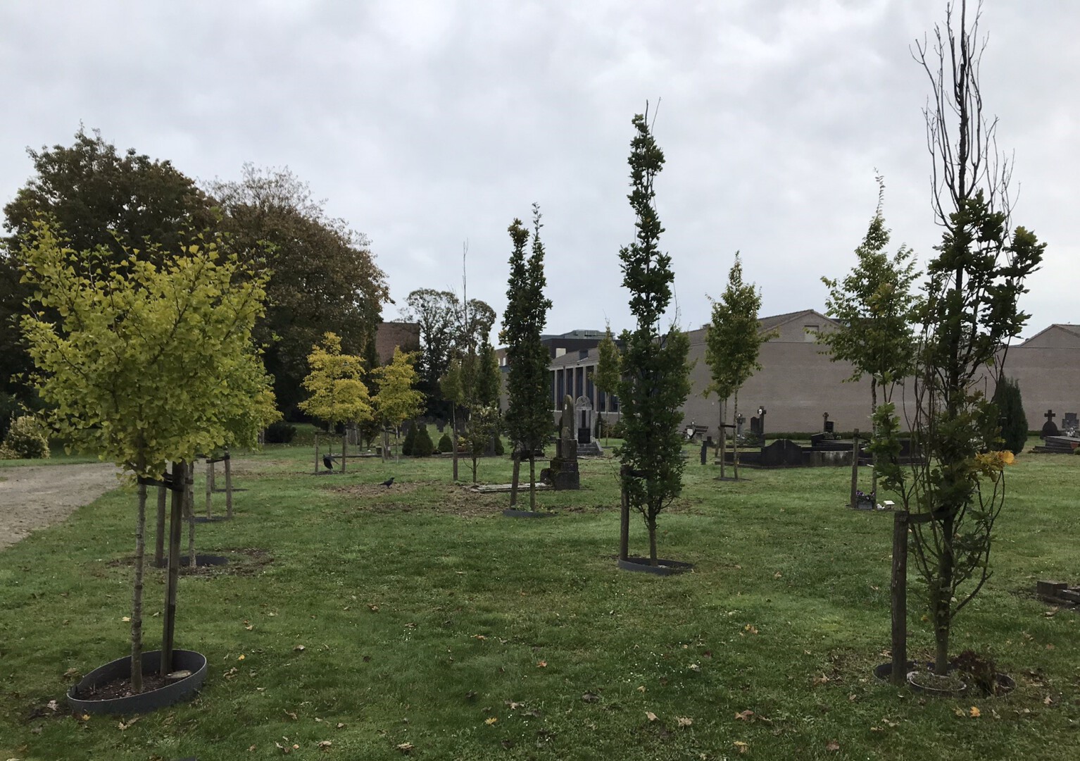 2024 Begraafpl Drunen_20250220212059025